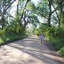 Hike & Bike Trail at Lady Bird Lake