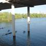Hike & Bike Trail at Lady Bird Lake