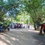 Hike & Bike Trail at Lady Bird Lake