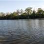 Hike & Bike Trail at Lady Bird Lake