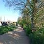 Hike & Bike Trail at Lady Bird Lake