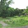 Phil Hardberger Park