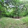 Phil Hardberger Park