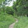 Phil Hardberger Park