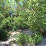 McKinney Falls State Park