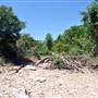 McKinney Falls State Park