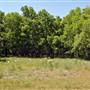 McKinney Falls State Park