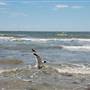Stewart Beach