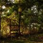 The Oaks of Anahuac