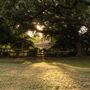 The Oaks of Anahuac