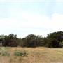 Eisenhower Park