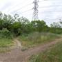 McAllister Park