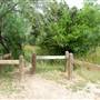 McAllister Park