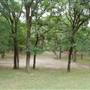 McAllister Park