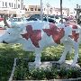 Plainview