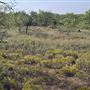 Rathbun Ranch