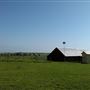 Maeshill Farm