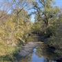 Keene Property