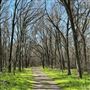 Clear Creek Natural Heritage Center