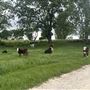 Evans Ranch