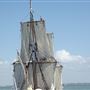 The City By The Sea Museum - La Petite Belle