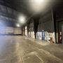 Troublemaker Studios