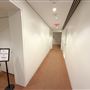 Morton H. Meyerson Symphony Center