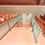 Morton H. Meyerson Symphony Center