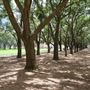 Gerald Hines Waterwall Park