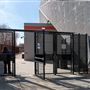 Shell Energy Stadium