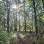 The Oaks of Anahuac