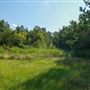The Oaks of Anahuac