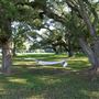The Oaks of Anahuac