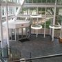Vivaverse Campus