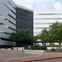 Vivaverse Campus