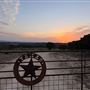 Rockin' Diamond S Ranch