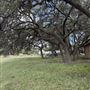Rockin' Diamond S Ranch