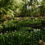 UMLAUF Sculpture Garden and Museum
