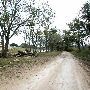 Lindeman Road along Blanco River