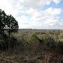 McKinney Roughs Nature Park