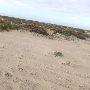 Boca Chica Beach & Dunes