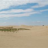 Monahans Sandhills State Park