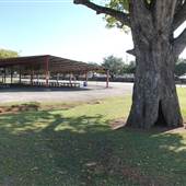 Palestine Farmers Market