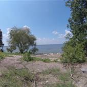 Lake Lavon