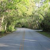 Stewart Road