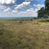 Martin Property