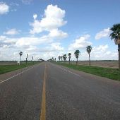 Palm lined Road along Military Hwy