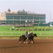 Lone Star Park