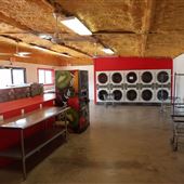 Dawg House Laundry