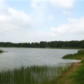 Lake Bryan